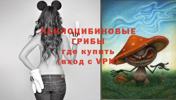 a pvp Алексеевка