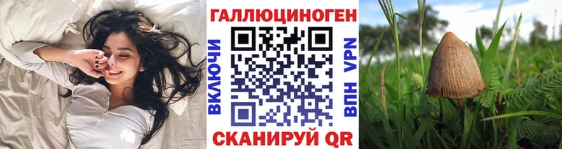 Псилоцибиновые грибы MAGIC MUSHROOMS  Сураж 